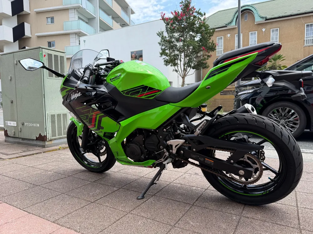 Suzuki GSF1200S, lime / black, фото 16