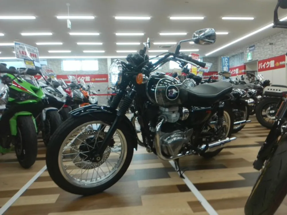 Kawasaki W800-2 2021, чёрный, фото 2