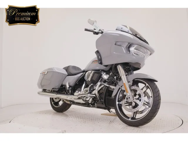 Harley-Davidson FLTRX1920 2025, серый, фото 3
