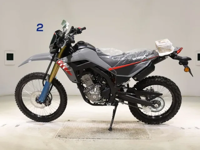 Honda CRF250 Rally, серый, фото 2