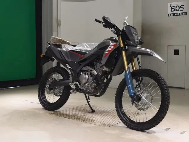 Honda CRF250 Rally, серый, фото 3