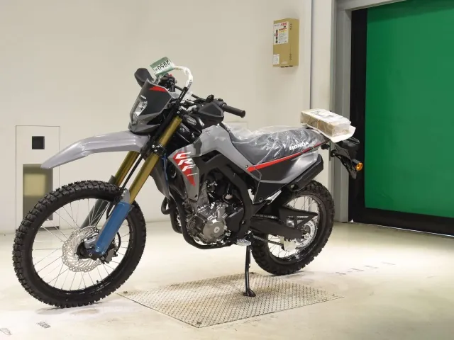 Honda CRF250 Rally, серый, фото 4