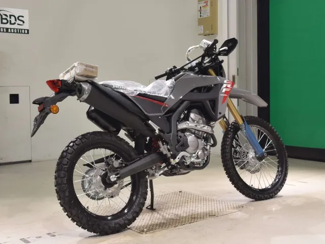Honda CRF250 Rally, серый, фото 5