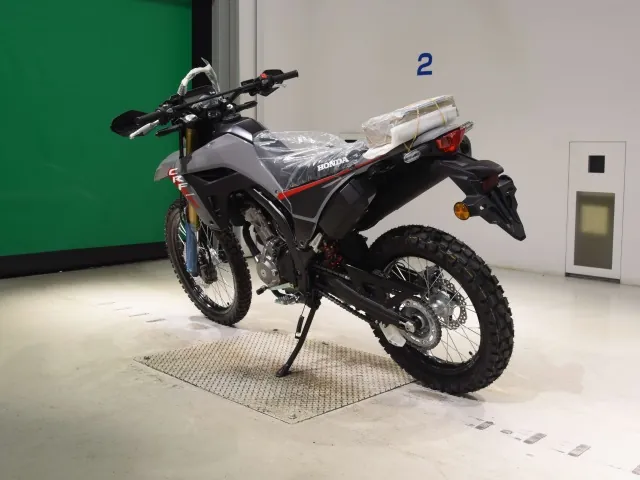 Honda CRF250 Rally, серый, фото 6