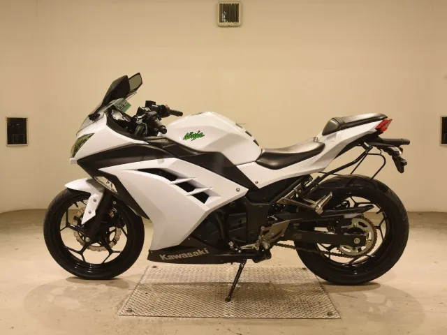 Kawasaki Ninja 250, белый, фото 2