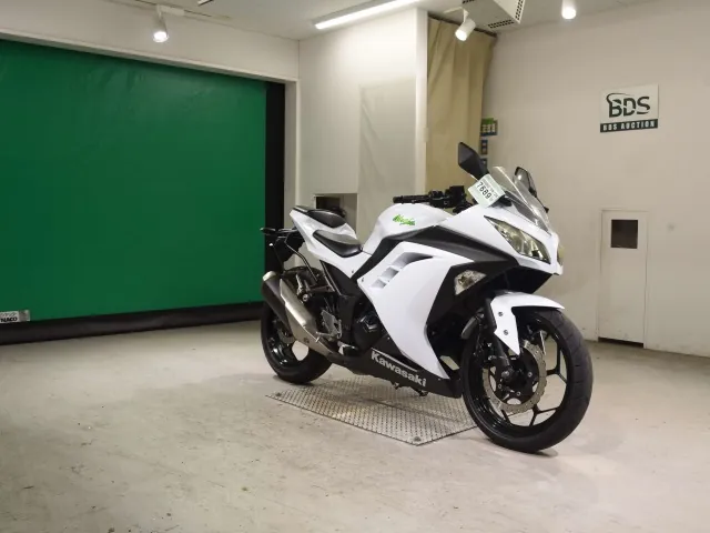 Kawasaki Ninja 250, белый, фото 3