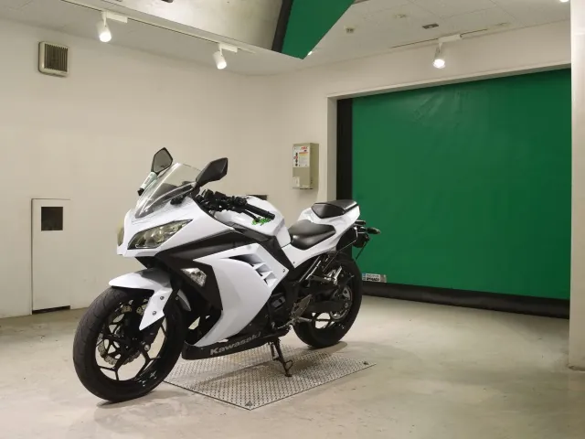 Kawasaki Ninja 250, белый, фото 4