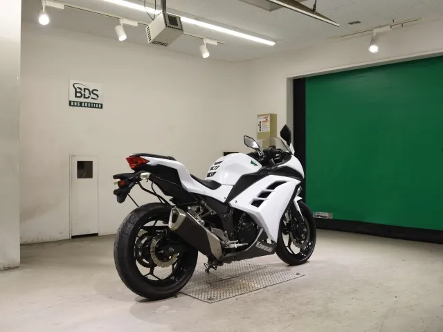 Kawasaki Ninja 250, белый, фото 5
