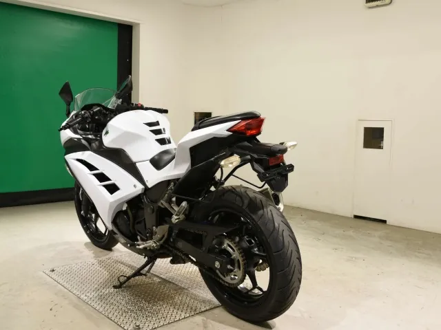 Kawasaki Ninja 250, белый, фото 6