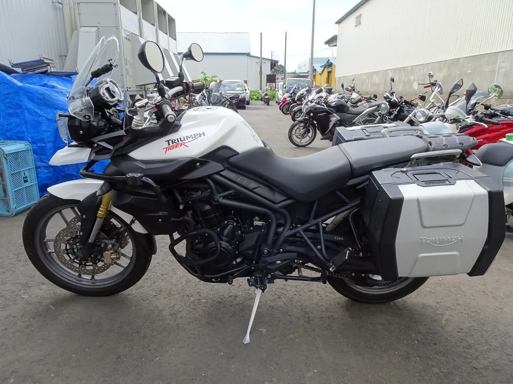 Triumph Tiger 800 2012, белый, фото 2