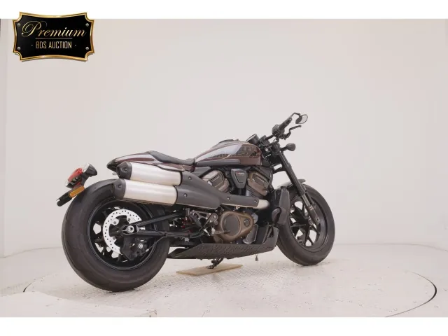 Harley-Davidson RH1250S 2022, light brown, фото 5