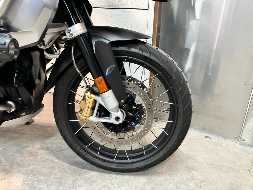 BMW R1250Gs 2019, light brown, фото 20