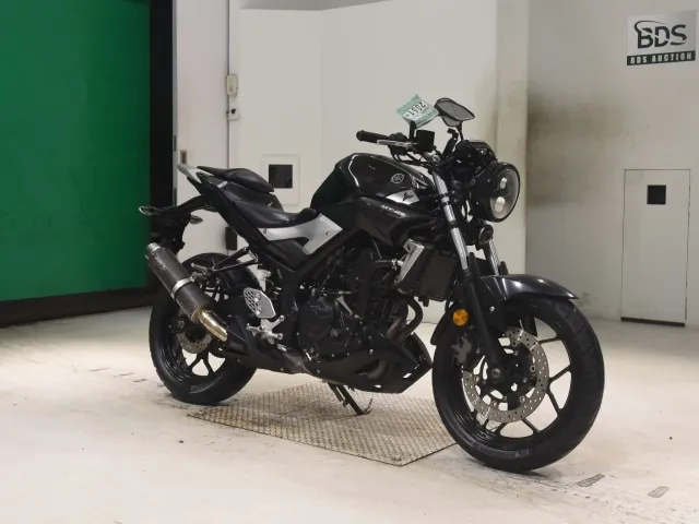 Yamaha YZF-R25, чёрный, фото 3