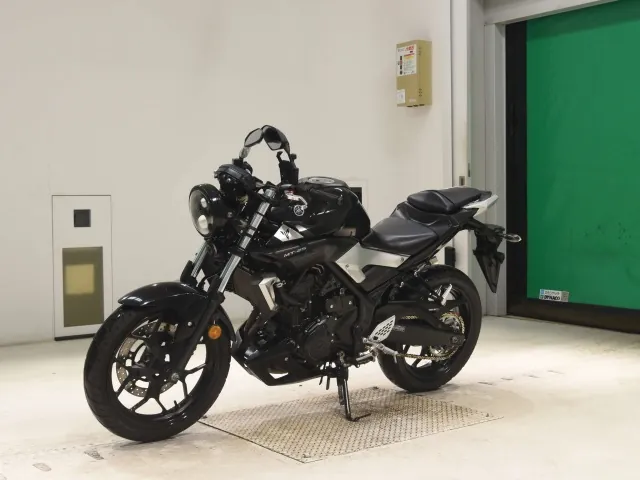 Yamaha YZF-R25, чёрный, фото 4