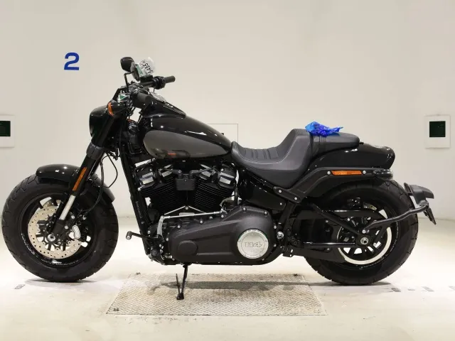 Harley-Davidson FXFBS1870 2026, black | gray, фото 2