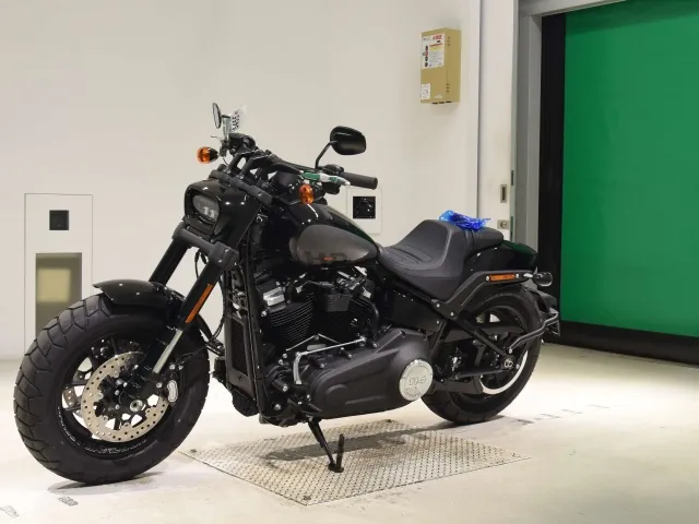 Harley-Davidson FXFBS1870 2026, black | gray, фото 4