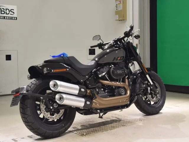 Harley-Davidson FXFBS1870 2026, black | gray, фото 5