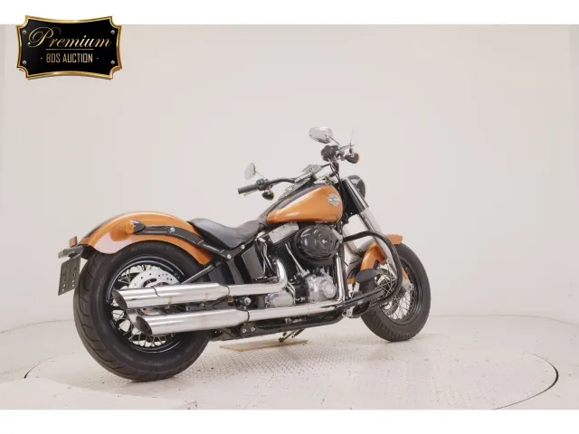 Harley-Davidson FLS1580 2015, black | orange, фото 5