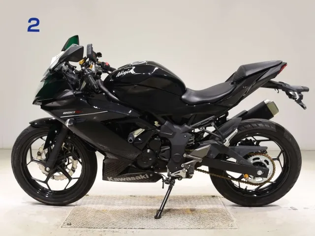 Kawasaki Ninja 250SL, чёрный, фото 2