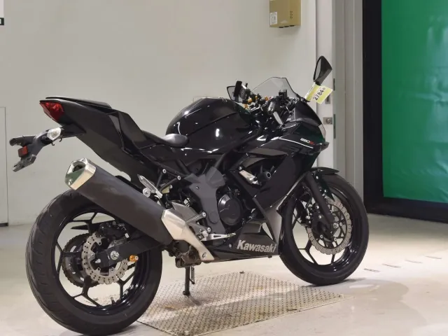 Kawasaki Ninja 250SL, чёрный, фото 5