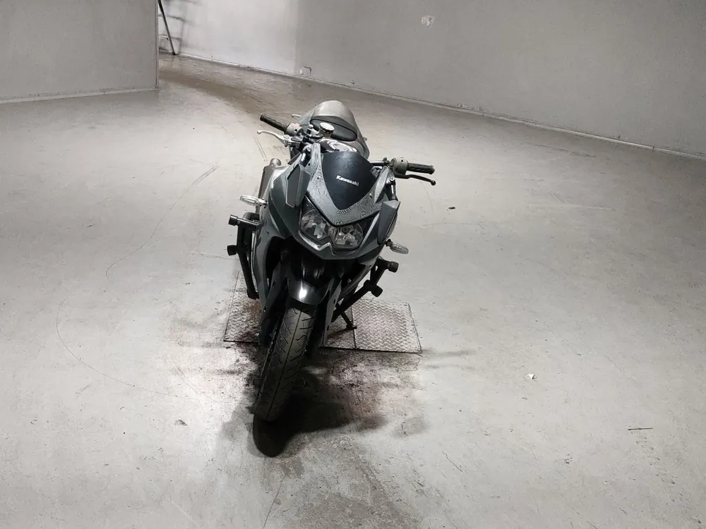 Kawasaki Ninja 250SL, black/gray, фото 3