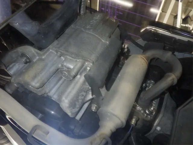 Honda Dio110-3 Basic, белый, фото 7
