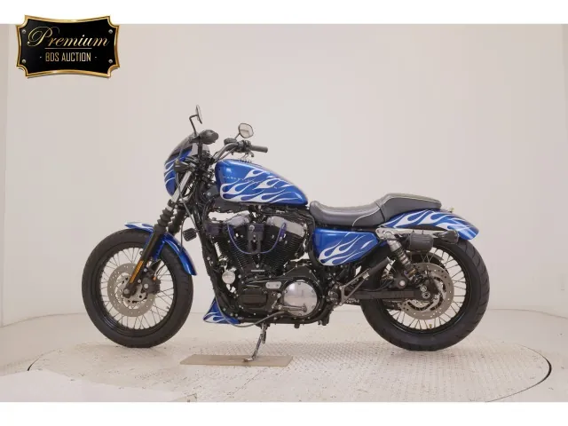 Harley-Davidson XL1200N 2011, белый, синий, фото 2