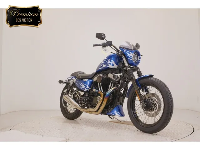 Harley-Davidson XL1200N 2011, белый, синий, фото 3