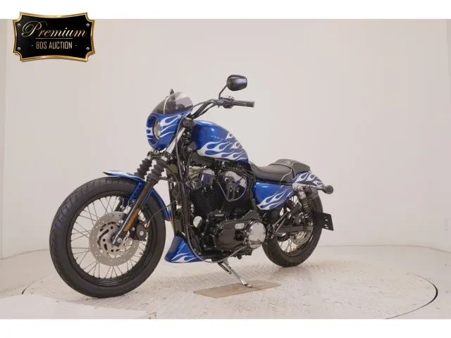 Harley-Davidson XL1200N 2011, белый, синий, фото 4