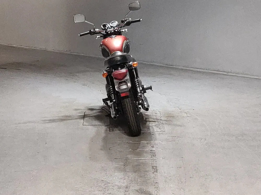 Kawasaki W650 2003, gray / red, фото 4