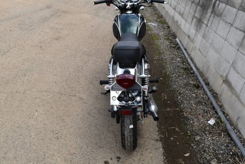 Kawasaki Estrella, фото 9