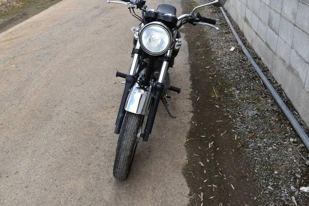 Kawasaki Estrella, фото 4