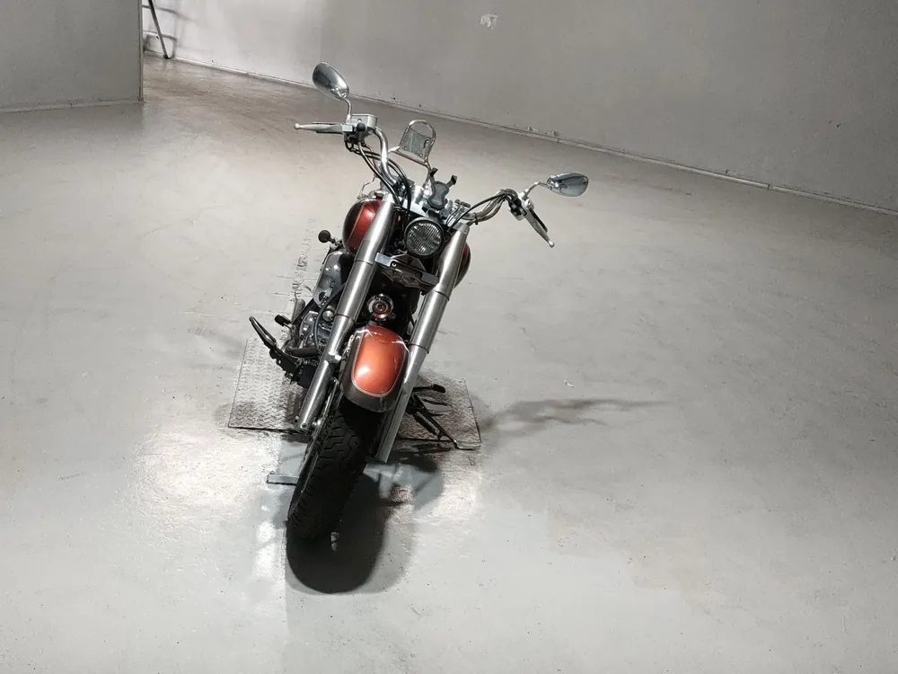 Yamaha Drag Star 1999, orange / light brown, фото 3