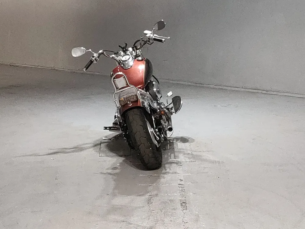 Yamaha Drag Star 1999, orange / light brown, фото 4