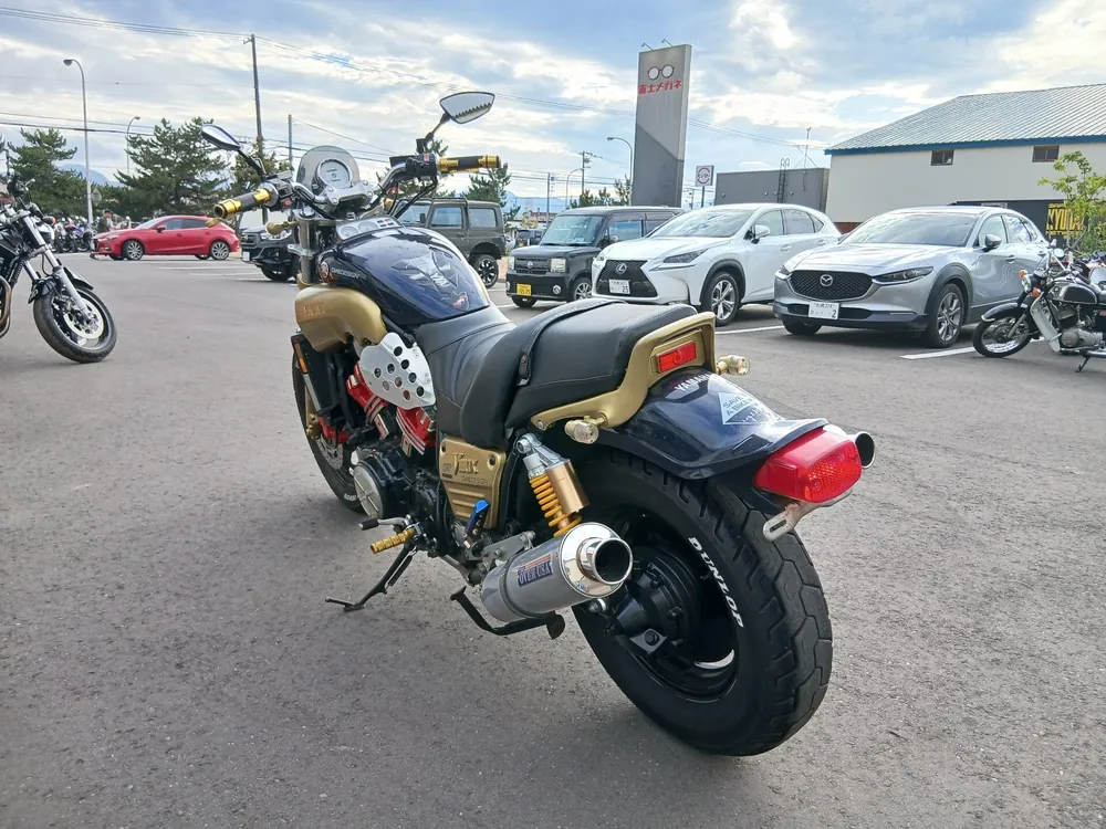 Yamaha V-MAX 1994, gold / navy blue, фото 5