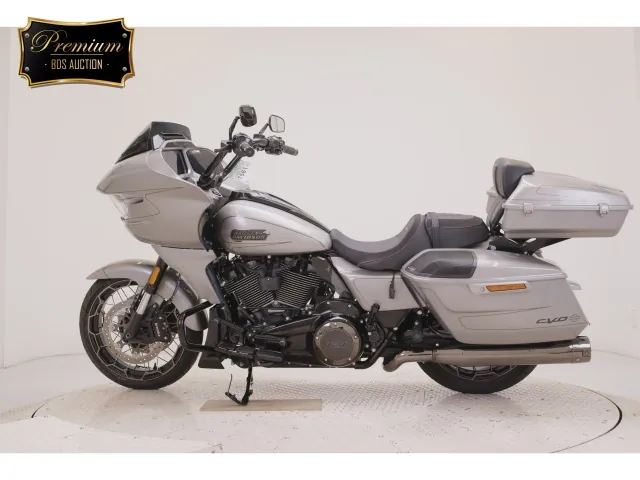 Harley-Davidson FLTRXSE1980CVO 2024, серый, фото 2