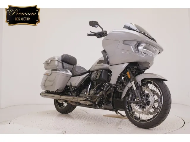 Harley-Davidson FLTRXSE1980CVO 2024, серый, фото 3