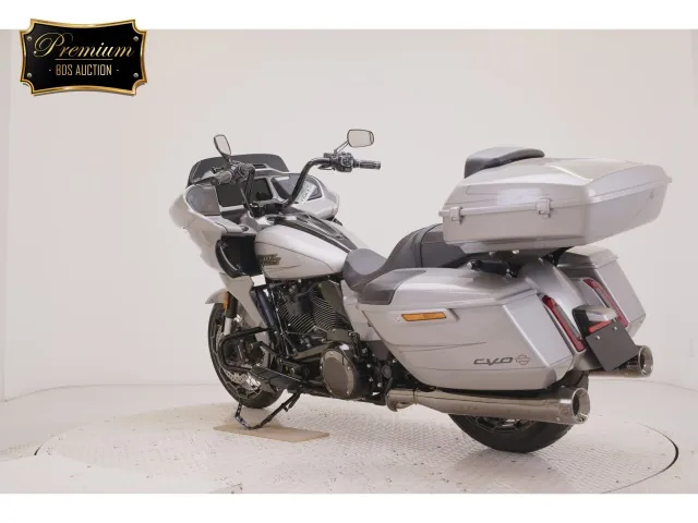Harley-Davidson FLTRXSE1980CVO 2024, серый, фото 6