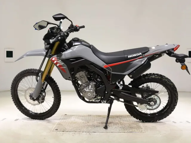 Honda CRF250 Rally, серый, фото 2