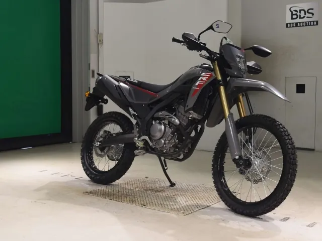 Honda CRF250 Rally, серый, фото 3
