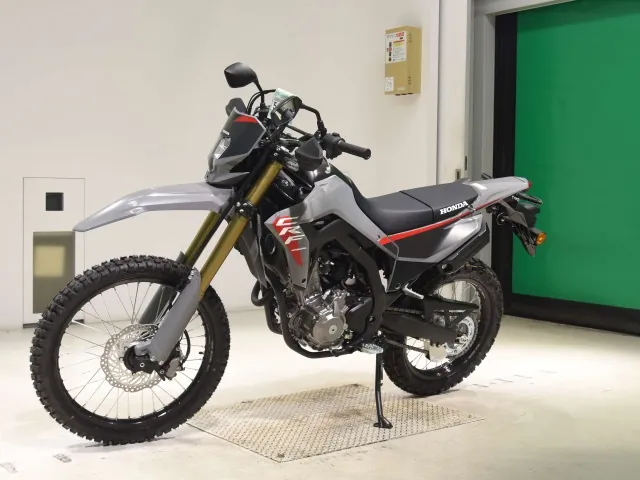 Honda CRF250 Rally, серый, фото 4