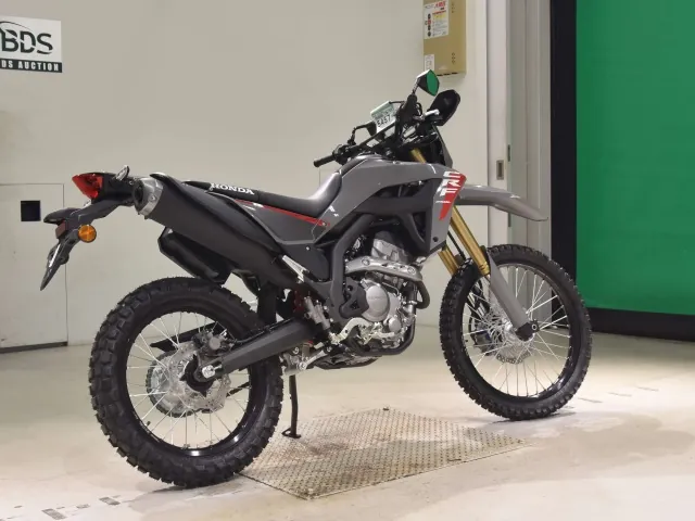Honda CRF250 Rally, серый, фото 5