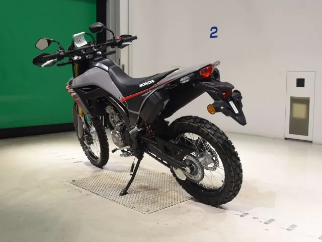 Honda CRF250 Rally, серый, фото 6