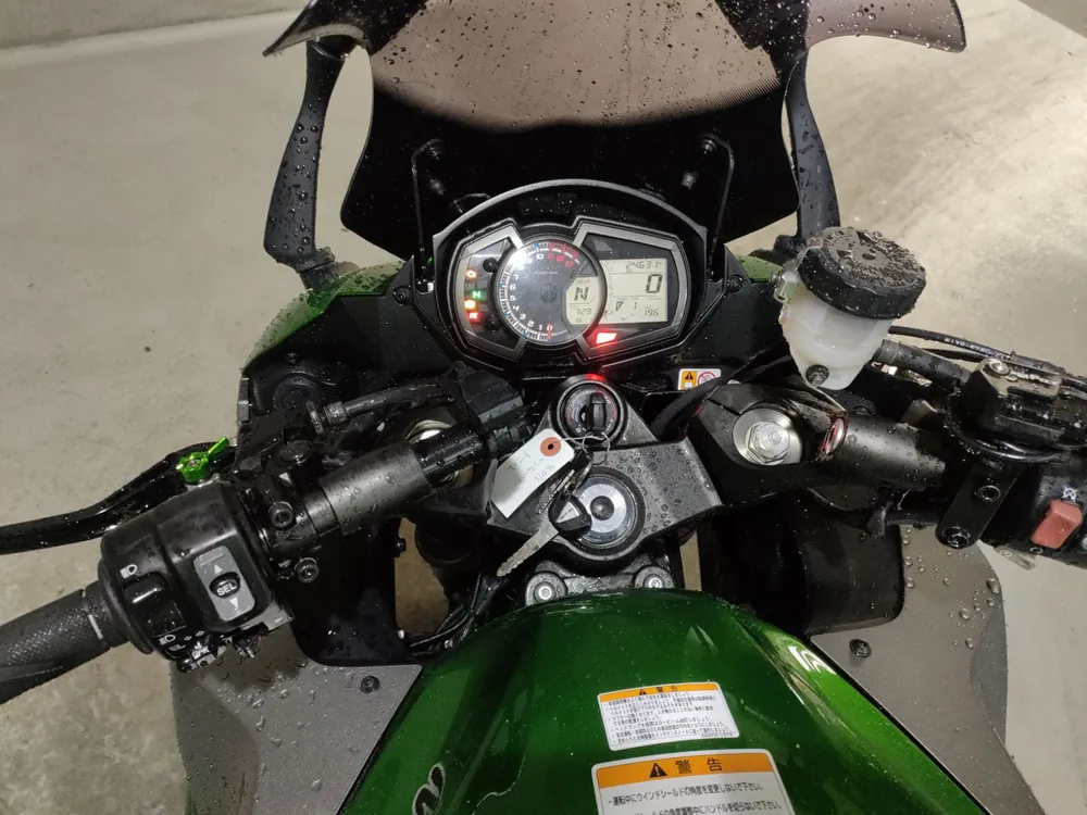 Kawasaki Ninja1000A 2019, gray / green, фото 5