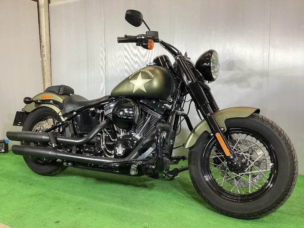 Harley-Davidson Softail Slim S 2016, фото 3