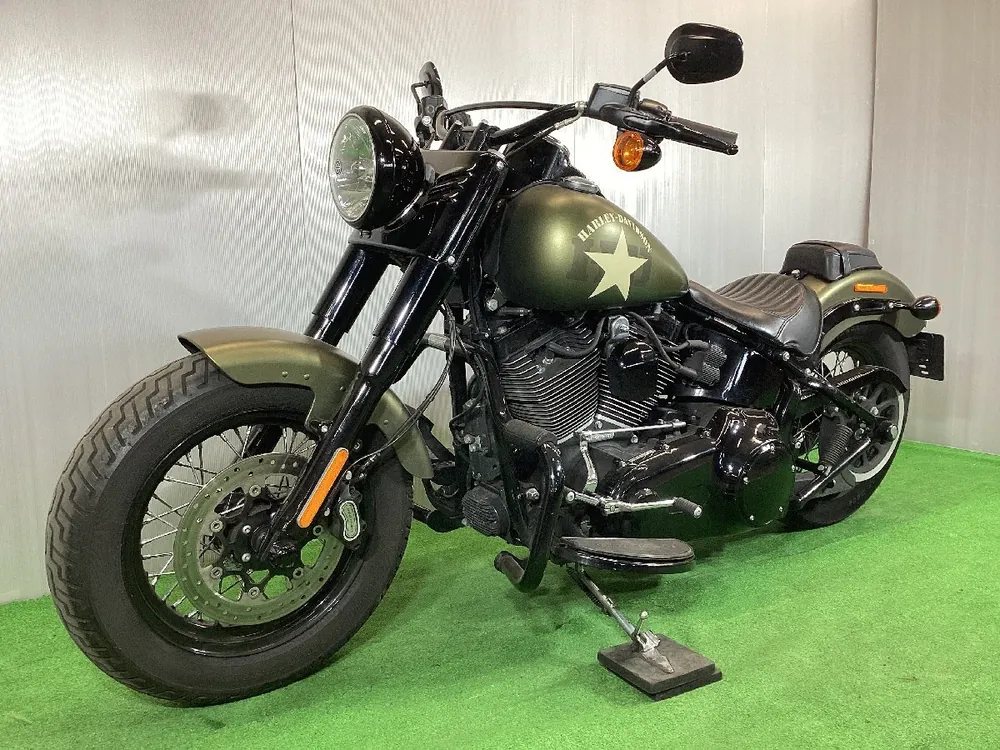 Harley-Davidson Softail Slim S 2016, фото 7