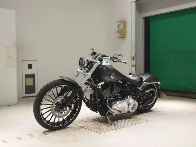 Harley-Davidson FXSB1690 2017, matt gun, фото 4
