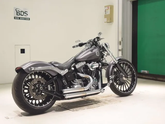 Harley-Davidson FXSB1690 2017, matt gun, фото 5