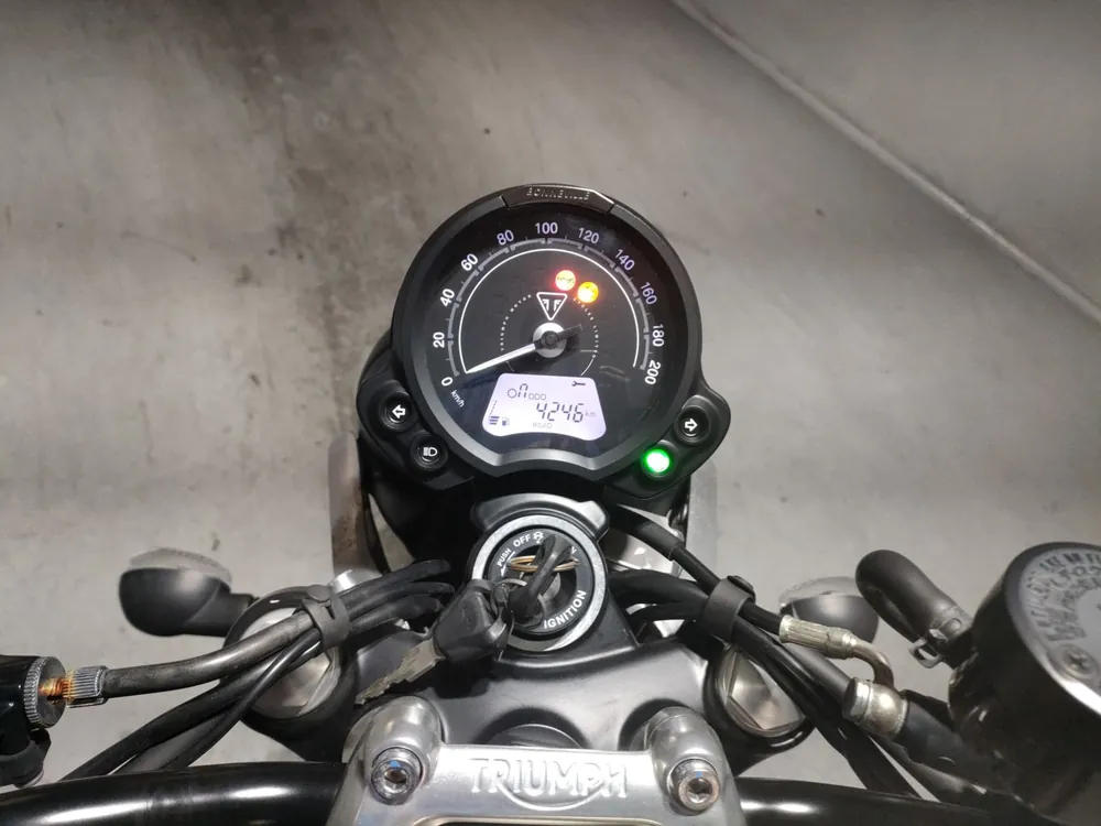 Triumph Speed Twin 900 2023, серый, фото 5