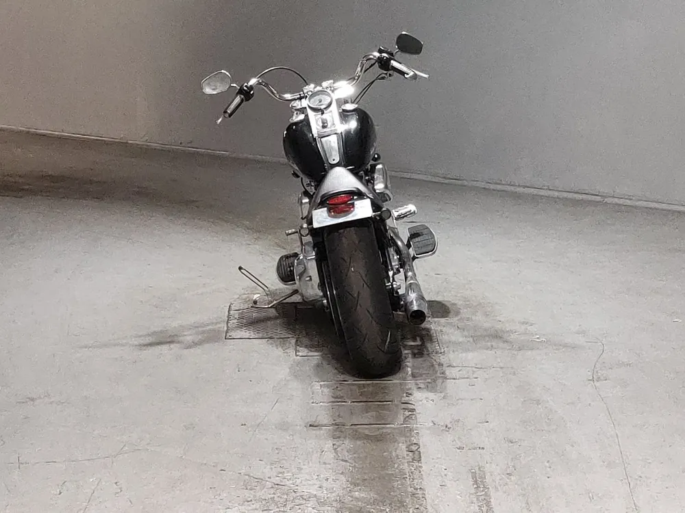 Harley-Davidson Fat Boy 2001, чёрный, фото 4